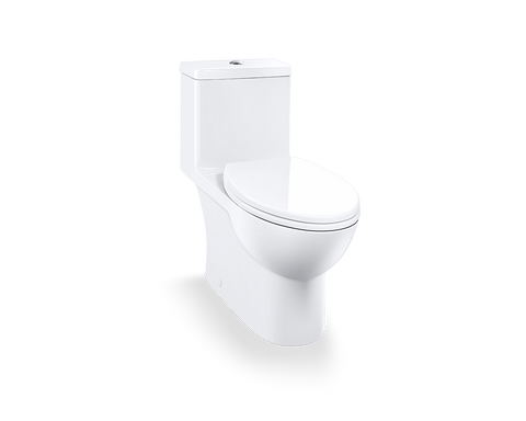 Sustainable Solutions Toilets